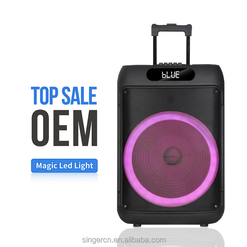Jbr-1505 15-Inch Party Bluetooth Speaker with LED Lighting Effects