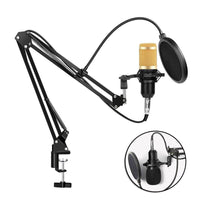 Professional Microphone Condenser Audio